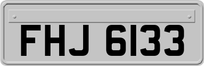 FHJ6133