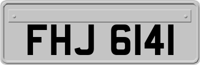 FHJ6141
