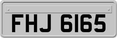 FHJ6165
