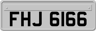 FHJ6166