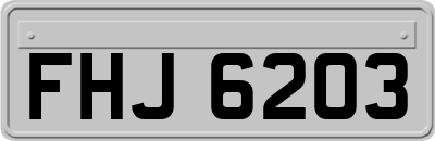 FHJ6203