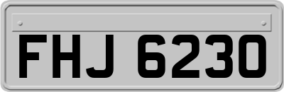FHJ6230
