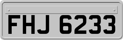 FHJ6233