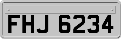 FHJ6234