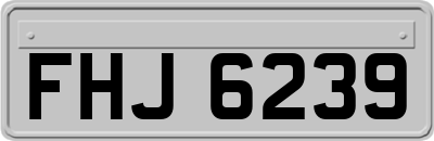FHJ6239