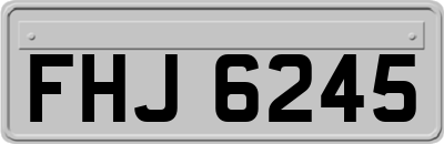 FHJ6245