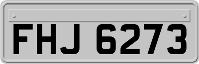 FHJ6273