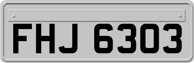 FHJ6303
