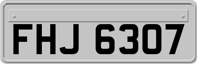FHJ6307