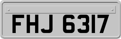 FHJ6317