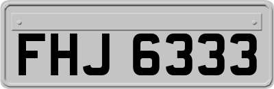 FHJ6333