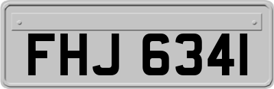 FHJ6341