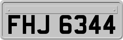FHJ6344