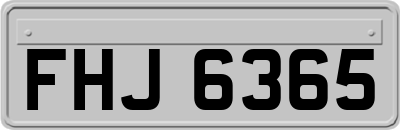 FHJ6365