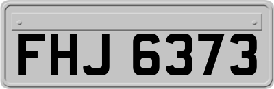 FHJ6373