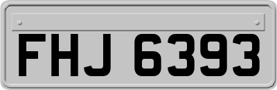 FHJ6393