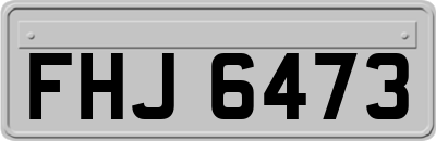 FHJ6473
