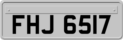 FHJ6517