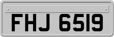 FHJ6519