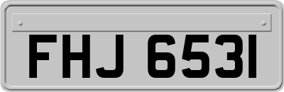 FHJ6531