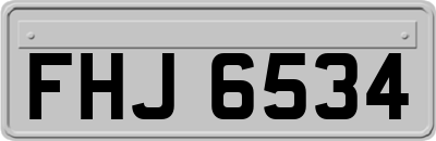 FHJ6534