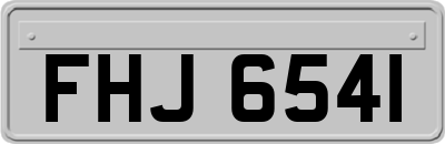 FHJ6541