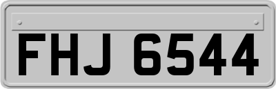 FHJ6544