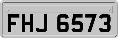 FHJ6573