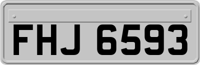 FHJ6593