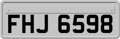 FHJ6598