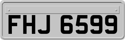 FHJ6599