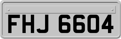 FHJ6604