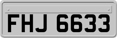 FHJ6633