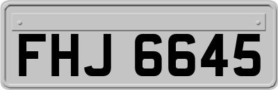 FHJ6645