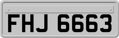 FHJ6663