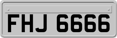 FHJ6666