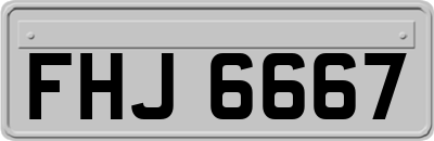 FHJ6667