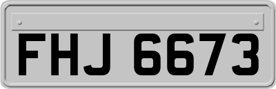 FHJ6673