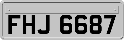 FHJ6687