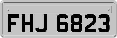 FHJ6823
