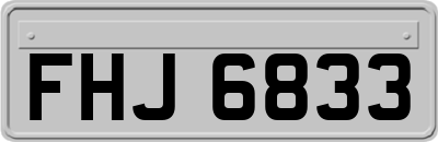 FHJ6833