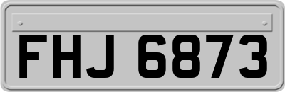 FHJ6873