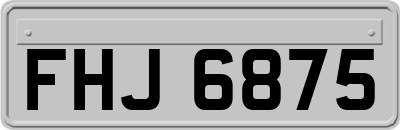 FHJ6875