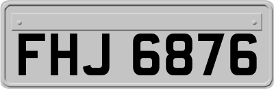 FHJ6876