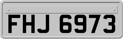 FHJ6973