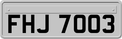 FHJ7003