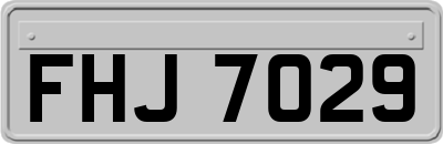 FHJ7029