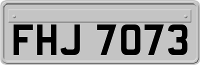 FHJ7073
