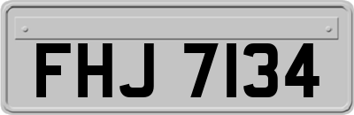 FHJ7134