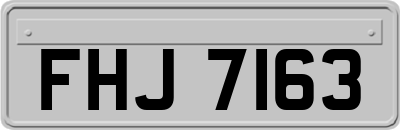 FHJ7163